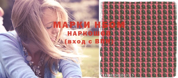 шишки Верхний Тагил