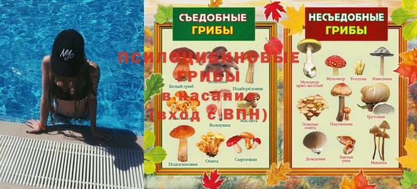 шишки Верхний Тагил