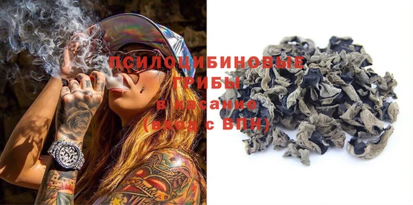 шишки Верхний Тагил