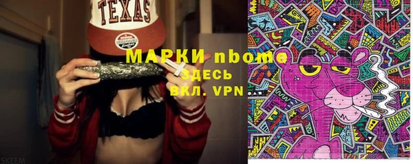 шишки Верхний Тагил