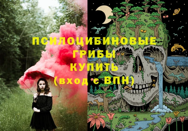 прущие крисы Верея