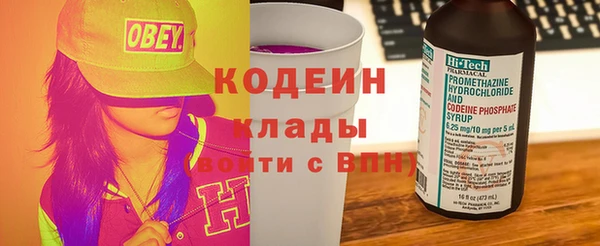 шишки Верхний Тагил