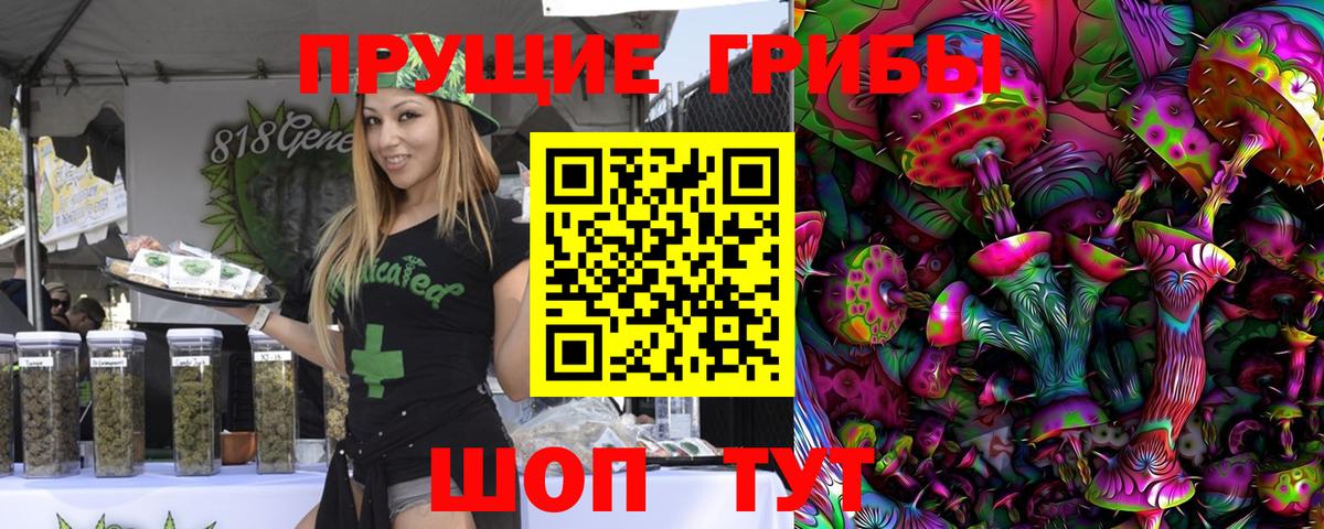 Галлюциногенные грибы Psilocybe  Вход с VPN  купить   Медногорск  Галлюциногенные грибы GOLDEN TEACHER 