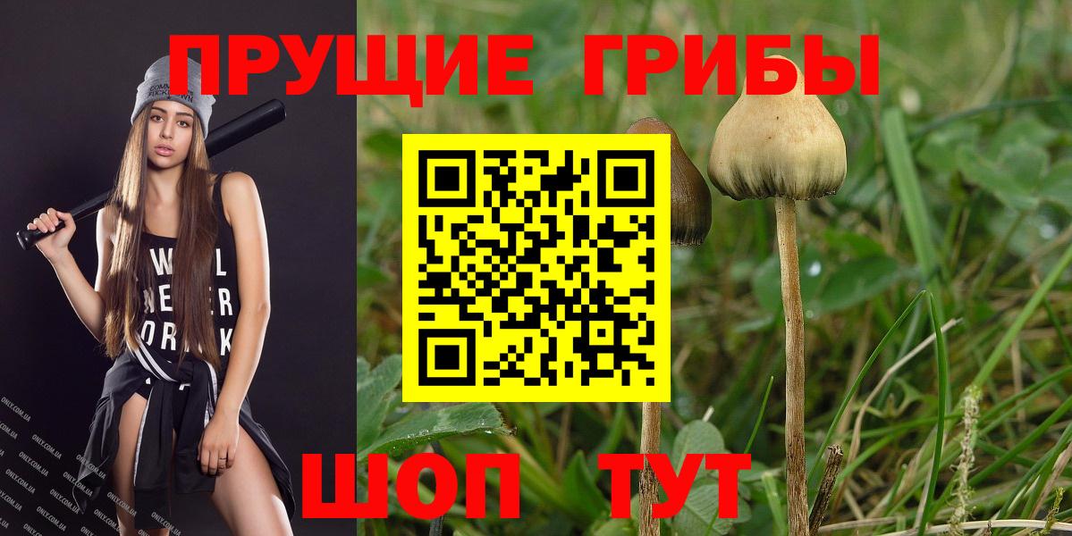 Галлюциногенные грибы мухоморы Медногорск